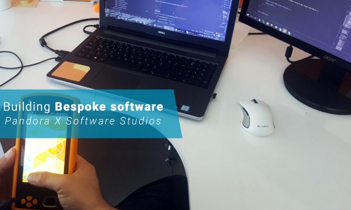 building-bespoke-software